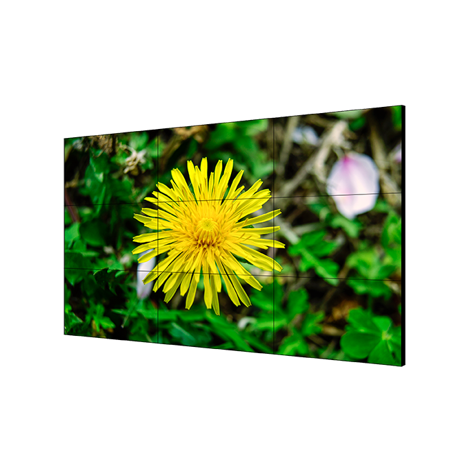 DS-D2055LU-Y
