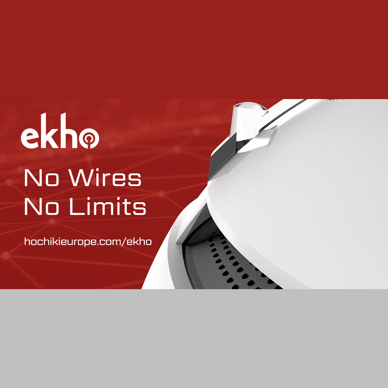 Echo