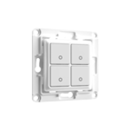 Universal modules and switches