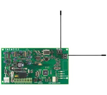 MG-RPT1